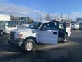 A 2013 Ford F-150 with an open driver's side door and a white exterior, parked with its hood slightly raised