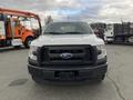 A white 2017 Ford F-150 truck is shown head-on with a black grille and a prominent Ford logo in the center