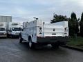 2017 Ford F-550 with a utility body featuring compartments on the sides and rear lights visible