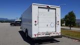 A white 2006 Ford Econoline cargo van with a large rear door and red brake lights parked in an open area