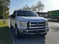 A 2017 Ford F-150 truck with a white exterior and chrome grille parked on a roadside