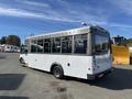 A white 2017 Chevrolet Express bus with large windows and a clean exterior viewed from the rear angle