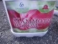 A green and red container labeled Green Sky Mammoth Bloom 24-6 fertilizer with a logo and decorative design