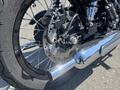 A close-up view of a 2019 Kawasaki W800 CAFÉ motorcycle featuring a chrome exhaust pipe and detailed components of the rear brake system and wheel