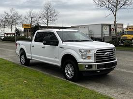 A white 2017 Ford F-150 pickup truck parked on the side of a road with chrome accents and a spacious cab