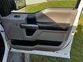 Interior door panel of a 2017 Ford F-150 featuring a combination of light gray and black materials with a handle and controls for windows and locks