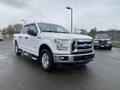 A white 2017 Ford F-150 pickup truck is shown from the front at a slight angle with chrome detailing on the grille and prominent headlights