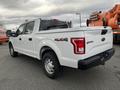 A white 2017 Ford F-150 with a crew cab and 4x4 badging parked diagonally with its rear facing the viewer