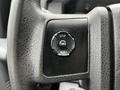Close-up of a steering wheel control panel featuring buttons labeled setup info and reset on a textured surface