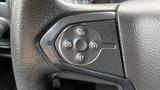 Close-up of a steering wheel control panel featuring buttons for cruise control with labeled functions including RES SET and an oval shape