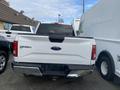 A white 2017 Ford F-150 pickup truck viewed from the rear with visible tailgate and Ford logo