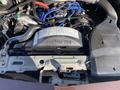 An exposed engine compartment of a 1982 Mercury Grand Marquis showing various components including wiring and hoses