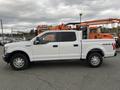 A white 2017 Ford F-150 pickup truck with a double cab and 4x4 designation parked with visible side profile