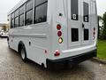 A 2015 Chevrolet Express with a silver exterior featuring large tinted windows and rear access doors equipped with handicap symbols