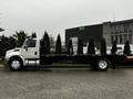 A white 2011 International DuraStar 4300 flatbed truck with a long black bed and several small green trees arranged along the edge of the bed