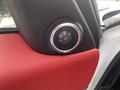 A speaker grille in a car door featuring a round black mesh design with a chrome trim and a vibrant red panel