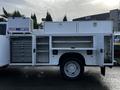 A 2017 Ford F-550 with a service body featuring multiple storage compartments and drawers on the side