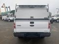 A white 2013 Ford F-150 with a cap on the bed seen from the rear showing the tailgate and tail lights