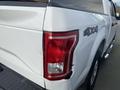 A white 2017 Ford F-150 with damage to the rear left taillight and bumper showing visible scratches and dents