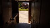 Inside view of a 2005 Morgan Olson Workhorse with open doors revealing the exterior space and storage compartments lined with cabinets