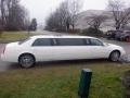 A white 2008 Cadillac limousine with a long body and chrome wheels parked on grass