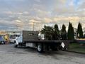 A 2006 Ford F-650 flatbed truck with a grey cargo area and a palm tree on the back